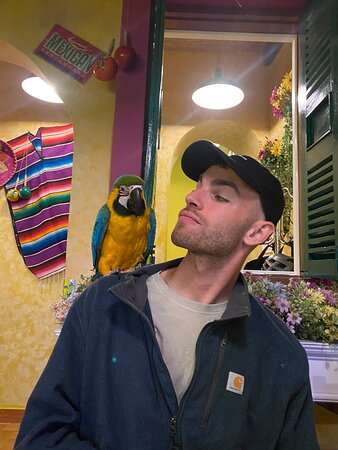 blue-parrot-mexican-grill (21)
