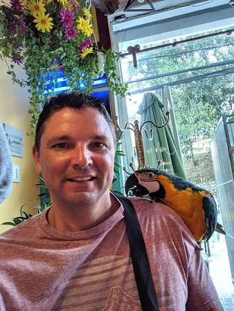 blue-parrot-mexican-grill (23)