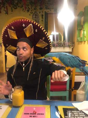 blue-parrot-mexican-grill (24)